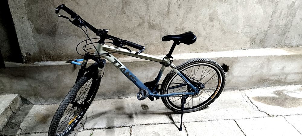 Фелик в хорошем состоянии