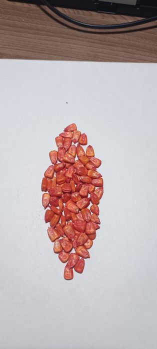 Семена кукурузы Китай