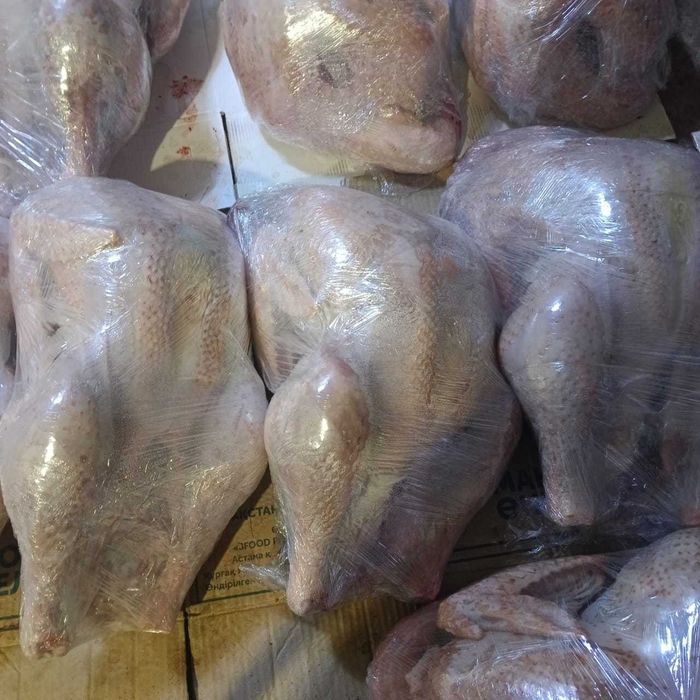 Мясо Домашнего Индюка, Утки, Бройлера, Индаутки