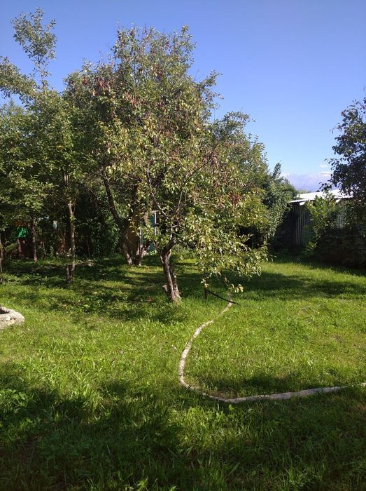 Дача в Экологически чистом районе