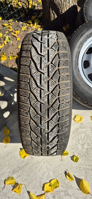 Roti iarnă Dacia Duster