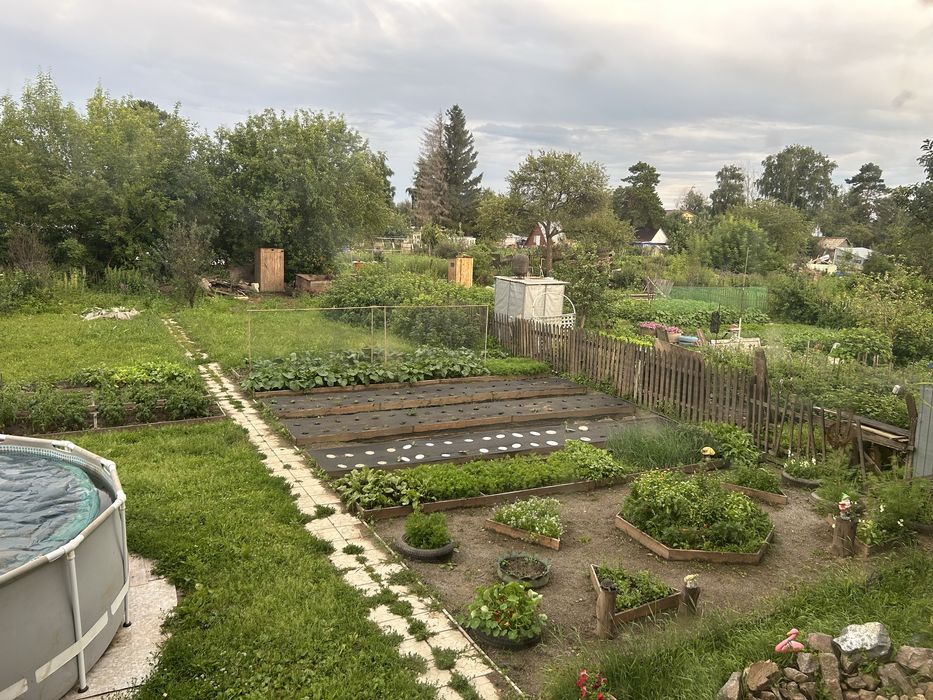 Дача на берегу Ишима