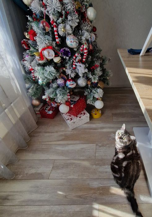 Заскрежена изкуствена елха 1.80 м – като нова. Продава се с история