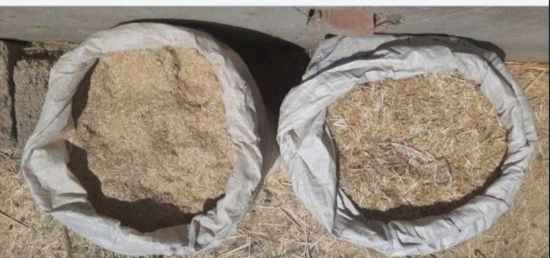 Somon mayda Qamich lombozga