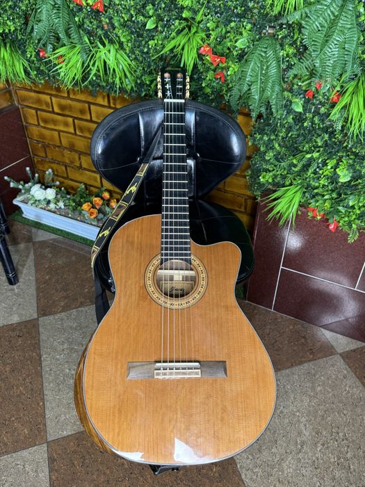 Classic Gitara Ibanez