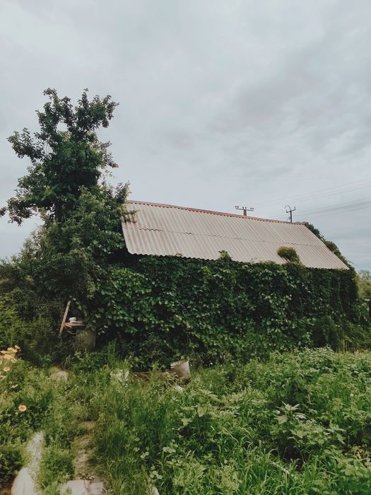 Продажа дачного участка