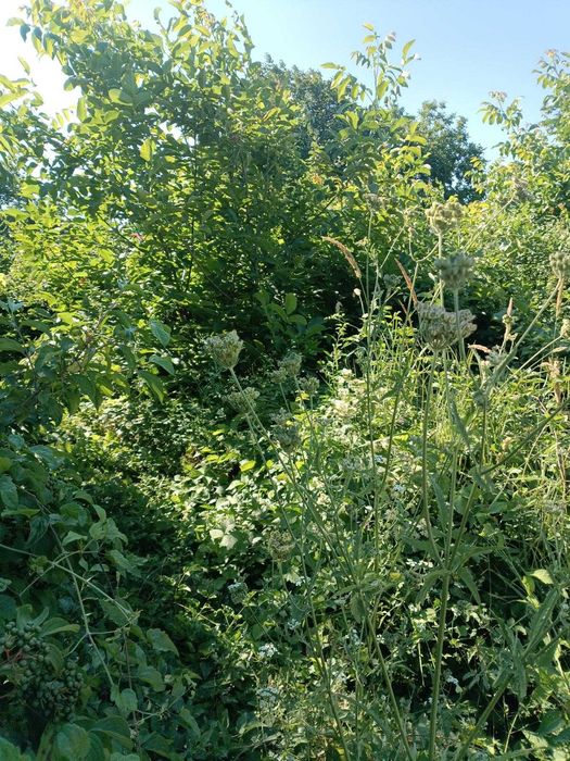 Продава се Парцел в Разград, Промишлена зона - Запад - 761 кв.м за 53 €/кв.м - Снимка #1