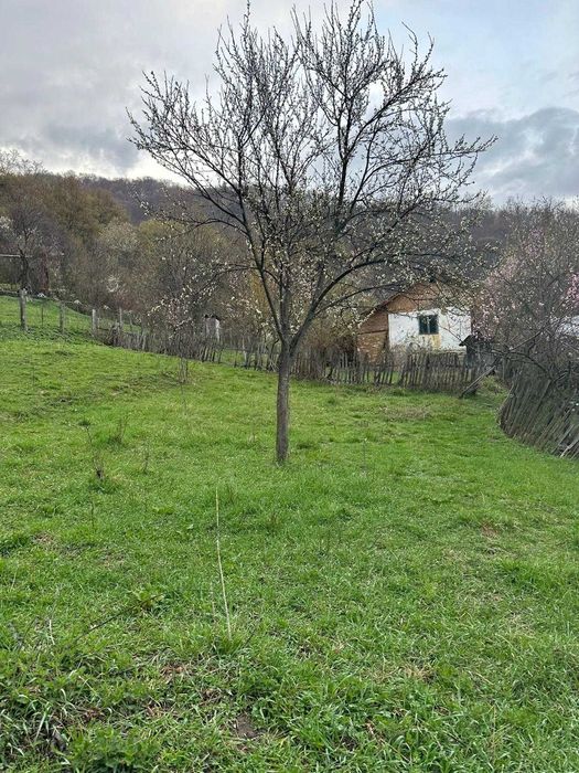 Teren + casă bătrânească la munte judet Vâlcea