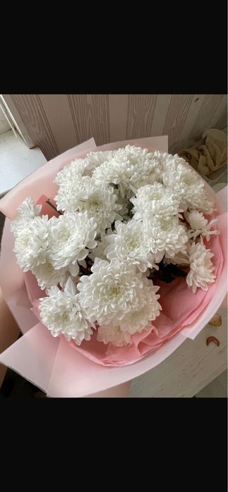 Ақтау 28/10 гул нови