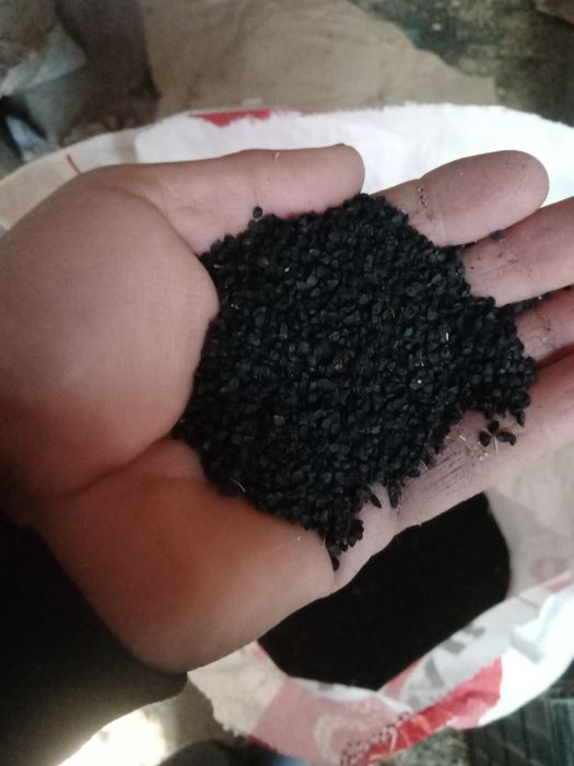 Пиёз уруглар  сотилади