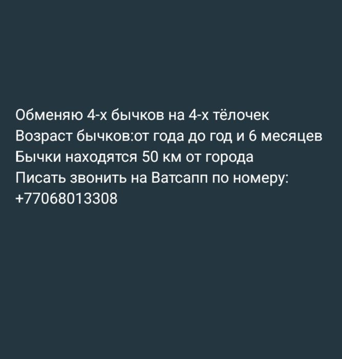 Обменяю бычков на тёлочек