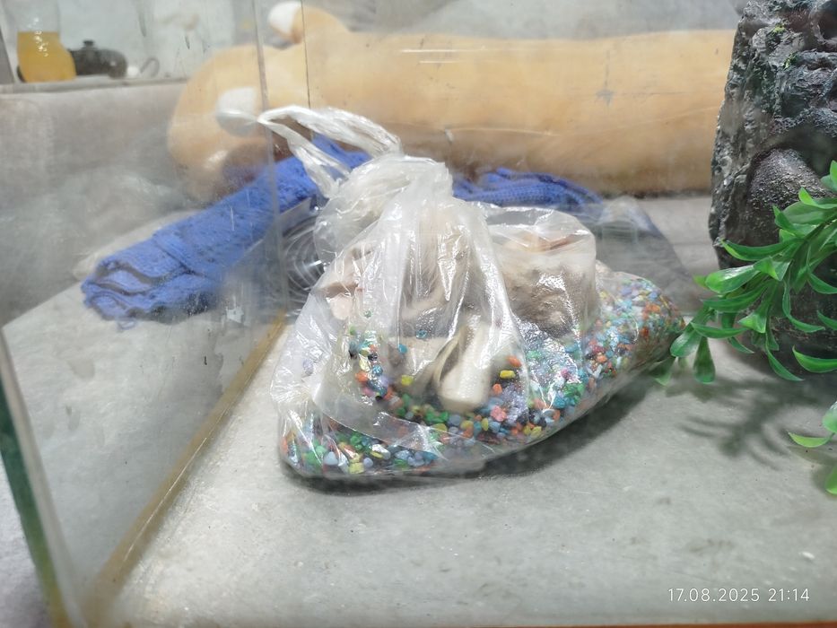 Продается аквариум