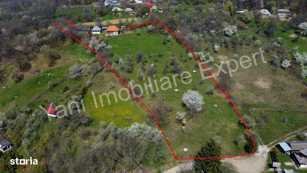 Casă + 10.156 mp teren de vânzare în comuna Valea Iașului, jud Argeș.