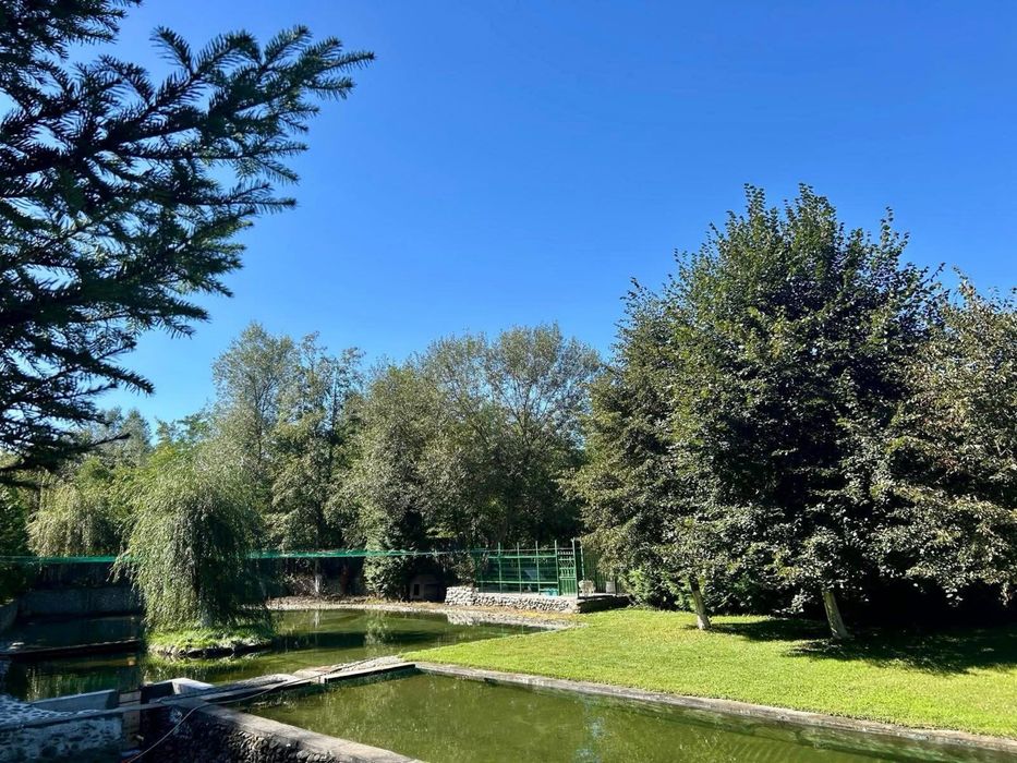 Cabana - Valea Avrigului