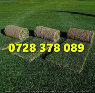 Gazon / Insamantare / Rulouri de Gazon