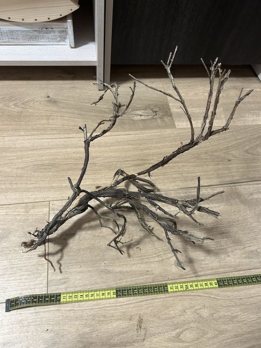 Vand radacini decorative pentru acvariu