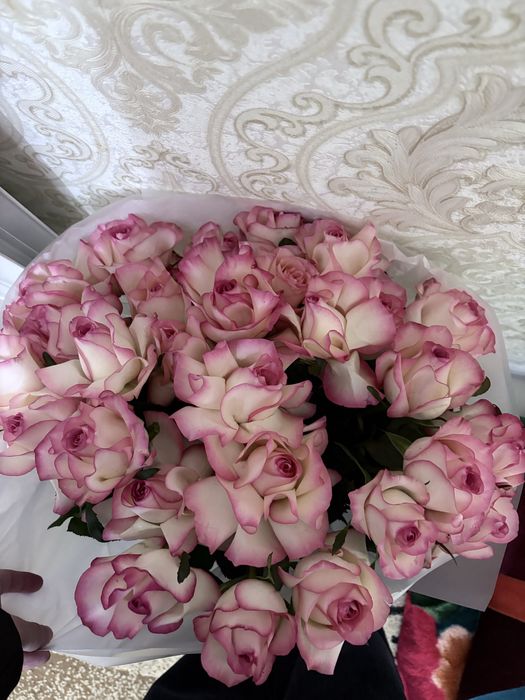 Розы 21шт только пришли