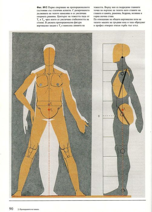 Годфрид Бамес - Човешкото тяло - учебник по пластична анатомия