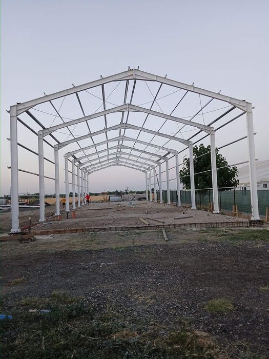 Vand hala metalică 8x20x4