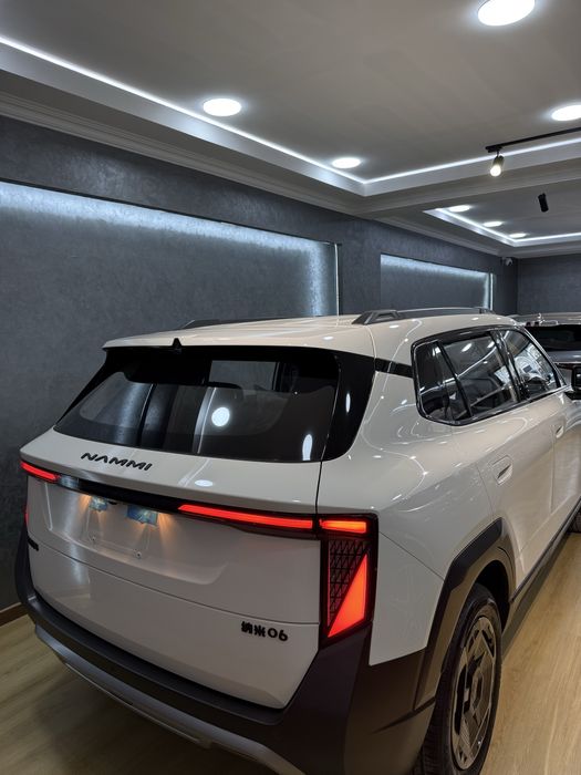 Dong Feng Nammi 06 401 km