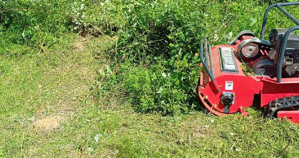 Curatare teren , tocare vegetatie,