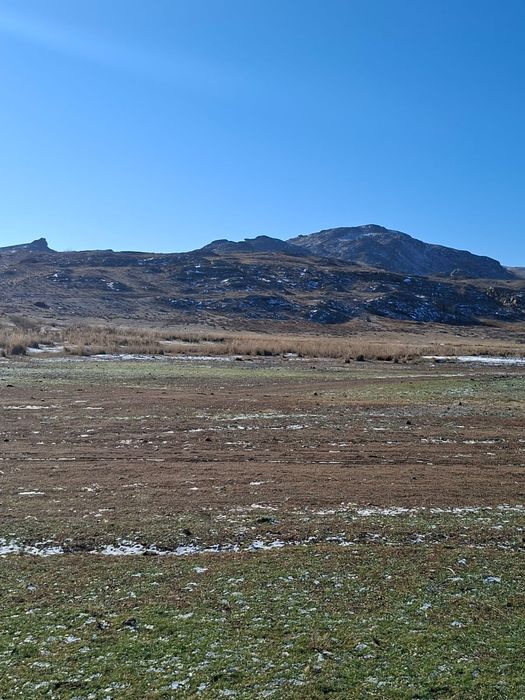 Продам Крестьянское хозяйства