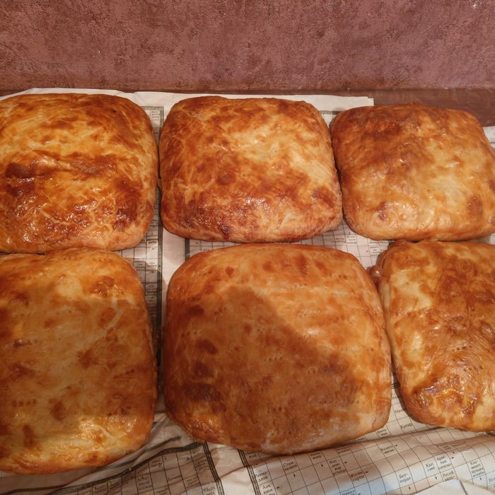 Щякярьлямя и кята