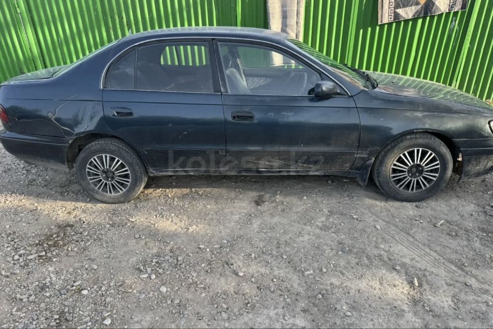 Тайга айырбастаймын