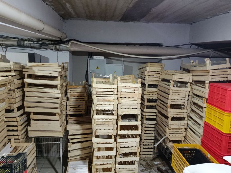 Yashik sotiladi hamasini olsangiz 1000   sumdan beraman