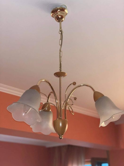 Полилеи Massiv много запазен изглежда като нов!