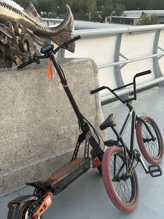 Bmx wtp salt eclat
