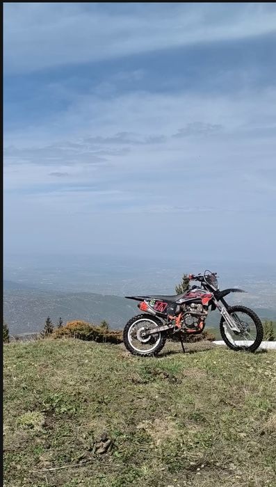 progasi palima 300 на 4 клопе