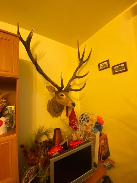 Vand trofeu cerb sculptat