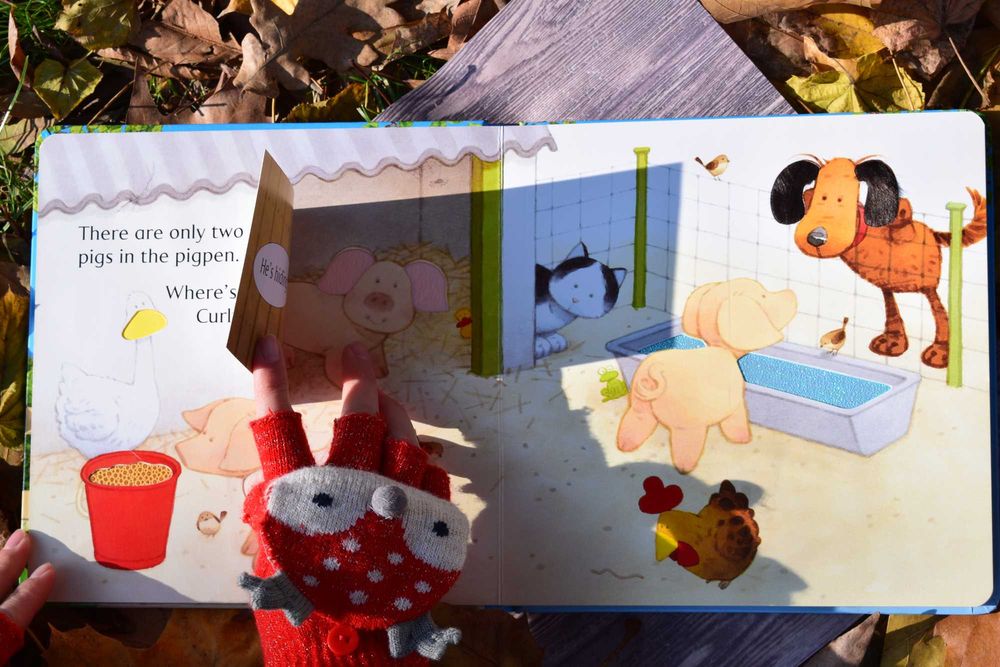 Carte Usborne Hide and Seek