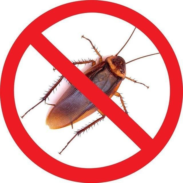 Дезинфекция от постельных клопов. Дезинсекция тараканов. Дезинсекция от тараканов. Обработка от клопов и тараканов. Дезинсекция постельных клопов.