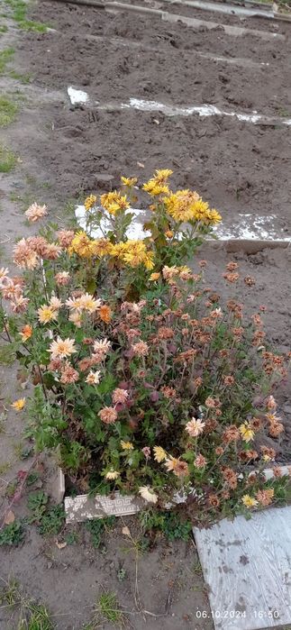 Продам отличную дачу!