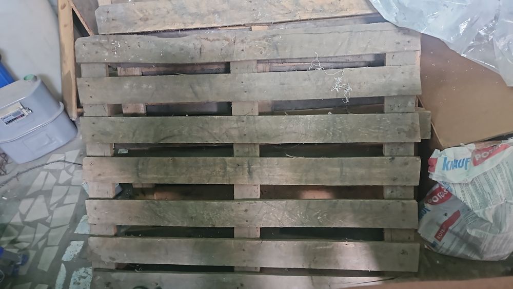 Падоны продам 12 штук