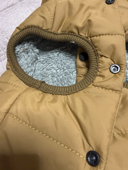 Курта лля собаки Астана