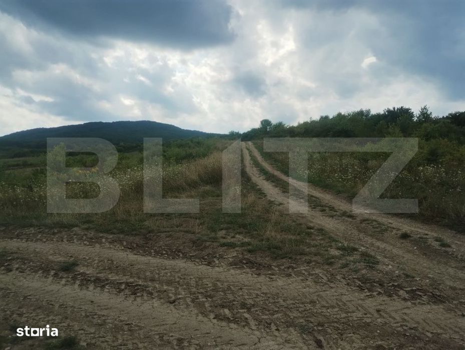 Teren extravilan, 51 ari,zona Sigmir