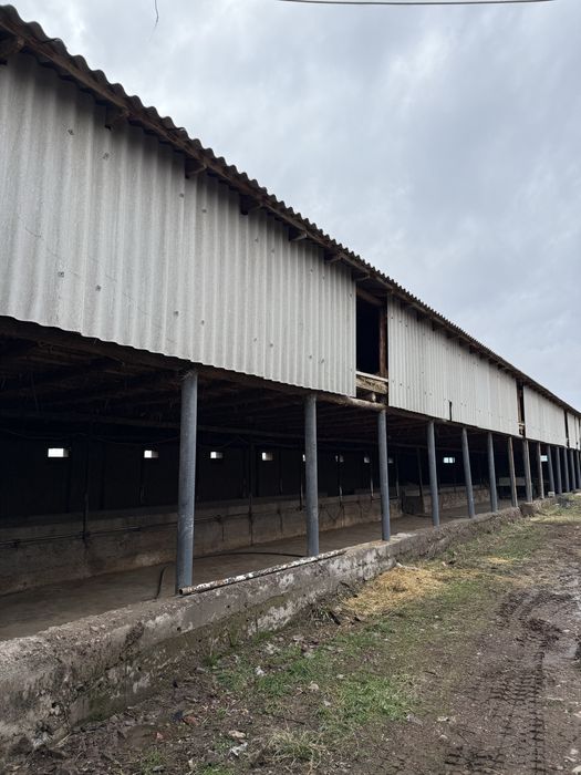 Дайын қора + үй сатылады