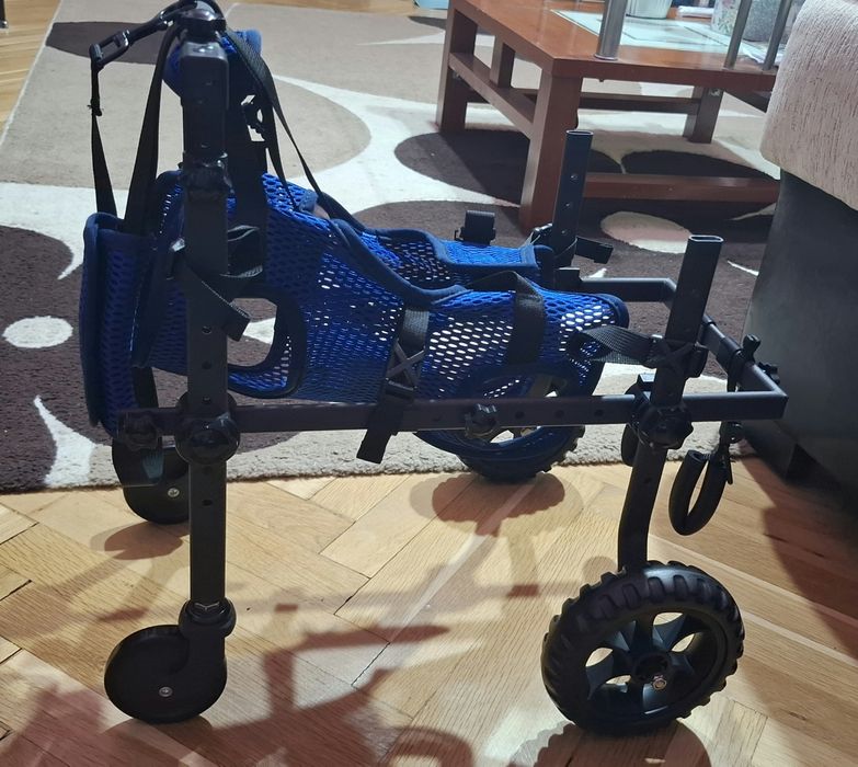 Инвалидна количка за кучета