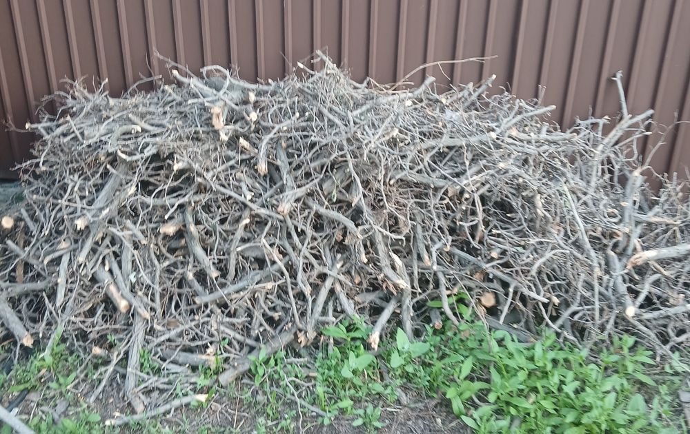 Продам дрова сухой