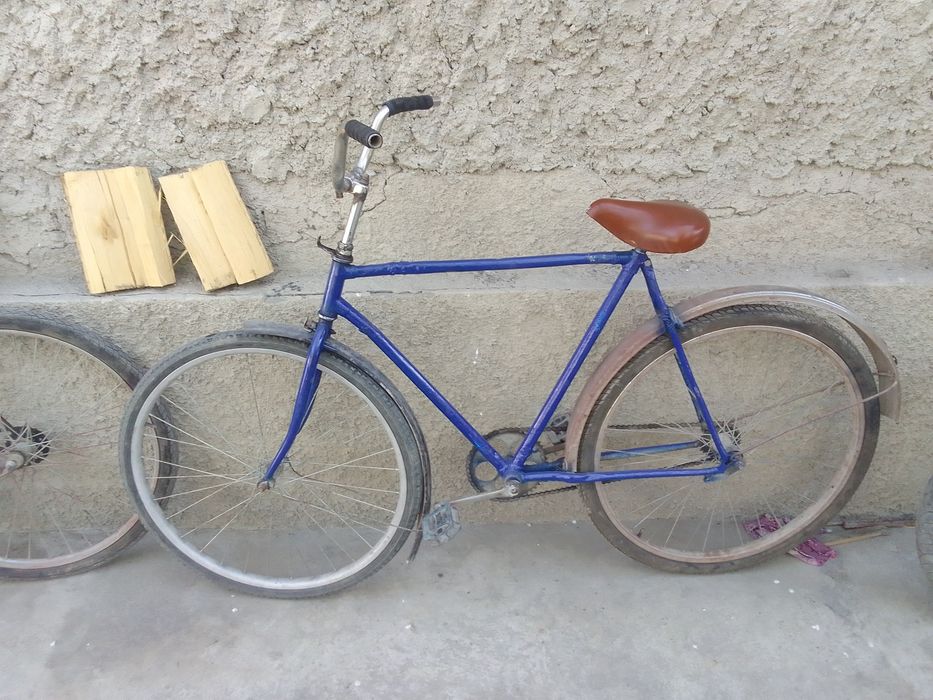 28 velik holati urta