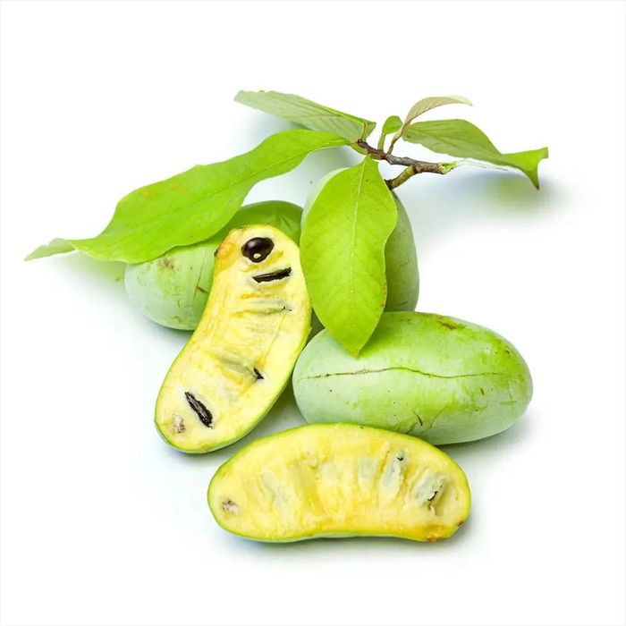 Banana Nordului.