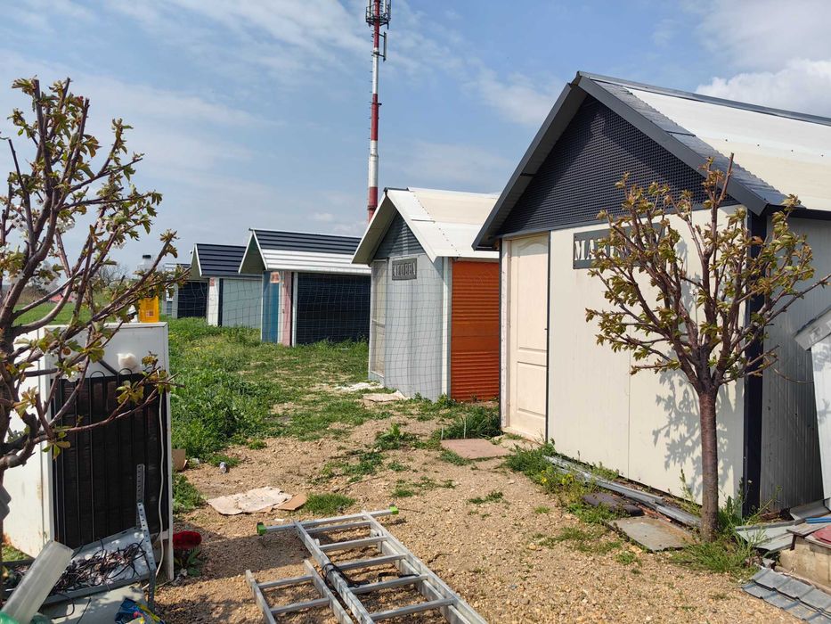 6 casute de inchiriat langa ALEXANDRIA