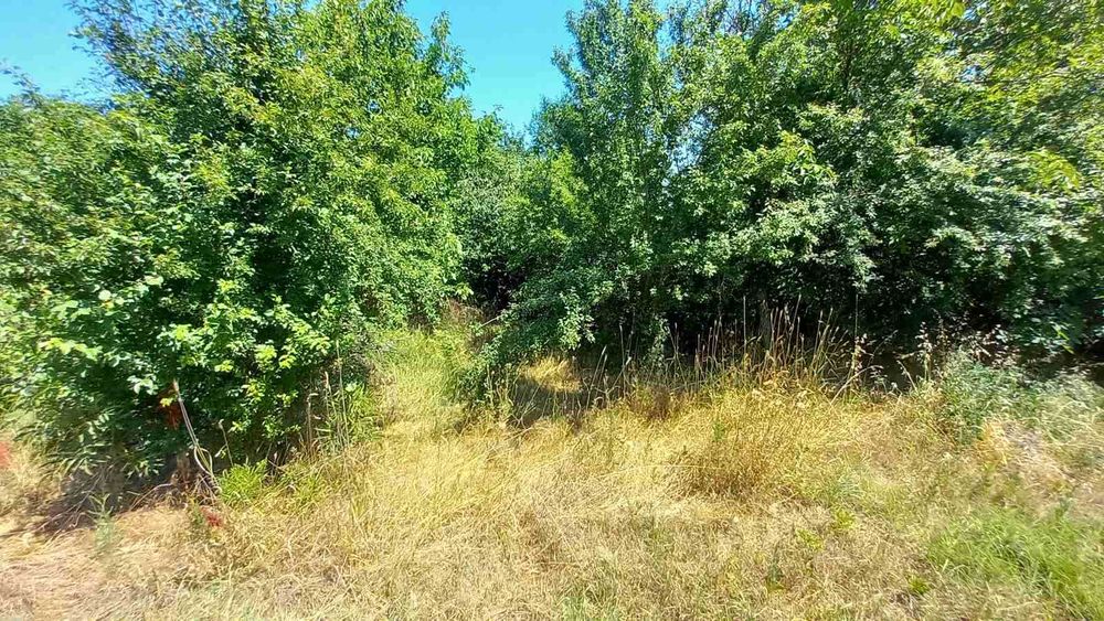 Продава се Парцел в Разград, Орел - 892 кв.м за 60 €/кв.м - Снимка #2