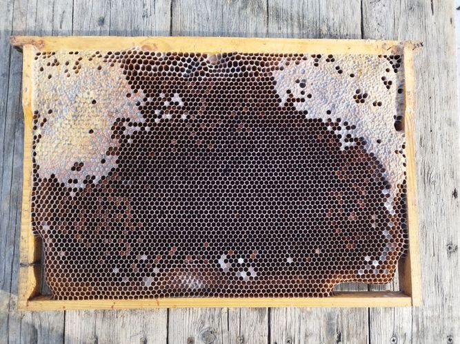Сушь, рамки для пчёл