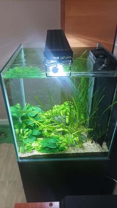 Аквариум 125 литров