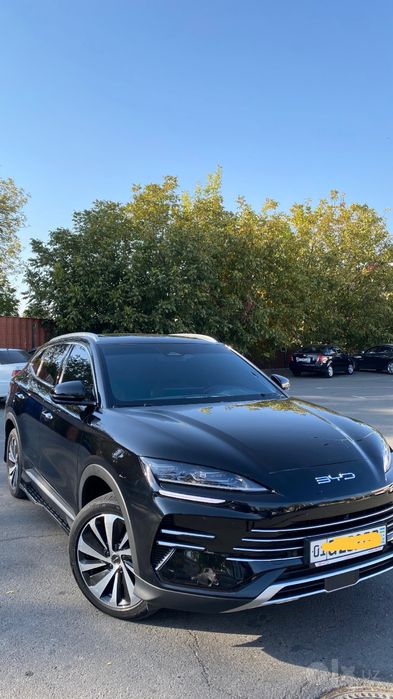 Byd chempion 2024 official
