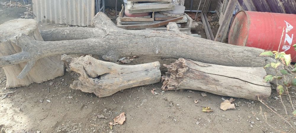 Утин сотилади, яхши қуритилган